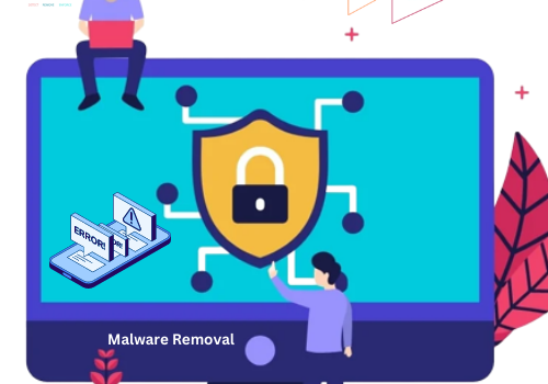 Cybersecurity Package Example: Website Malware Removal