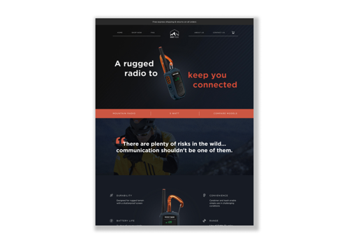 Web Design Package Example: Shopify Design and Development