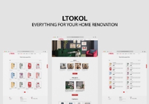 Custom Software Development Package Example: Website Development for Litokol