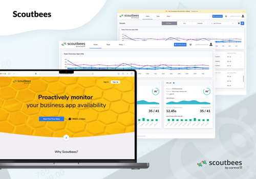 UX/UI Design Package Example: Service for monitoring network resources
