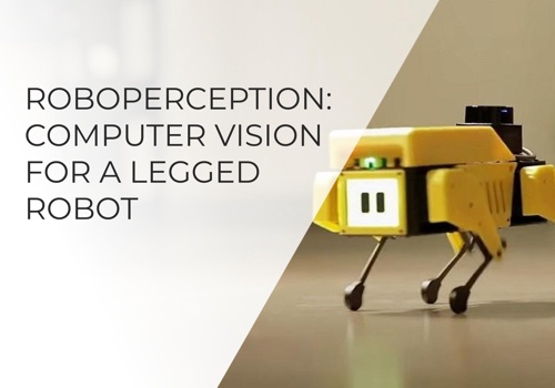 AI Development Package Example: Computer Vision for a Legged Robot