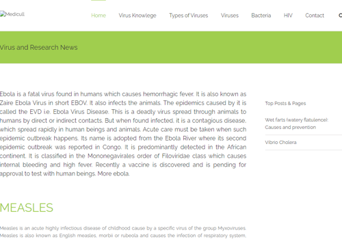 Web Development Package Example: Wordpress Website Design and Development