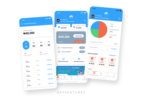 Web Development Package Example: PayMasta - Financial Management App