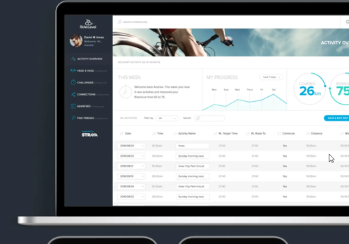 Custom Software Development Package Example: Development Team for Rider Level