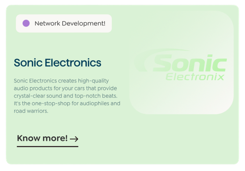 Market Research Package Example: Driving Business Growth: A Sonic Electronics Case