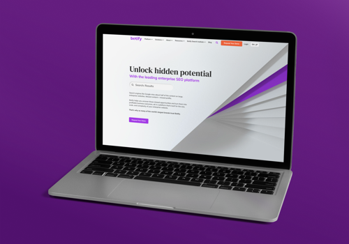 Web Design Package Example: Botify Website