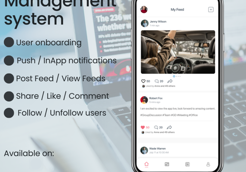 Mobile App Development Package Example: Feed Management App