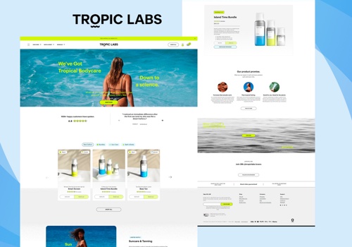 Web Development Package Example: WordPress to Shopify Migration & Enhancement