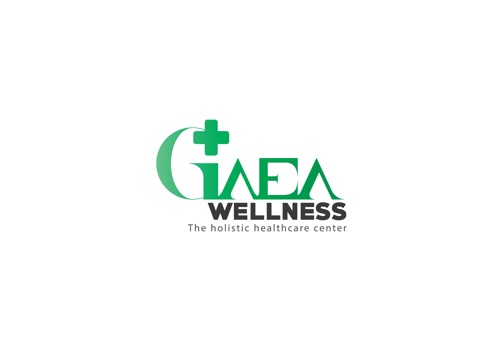 Marketing Strategy Package Example: Gaea Wellness The Holistic Healthcare Center