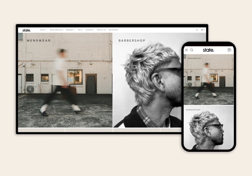 Web Design Package Example: State's Website design & development