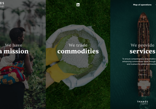 Web Development Package Example: WordPress Developer for trading site. Elementor