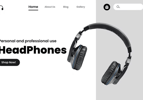 Web Development Package Example: P2P Headphones - Website Development