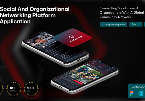 Custom Software Development Package Example: Social and Organizational Networking Platform for