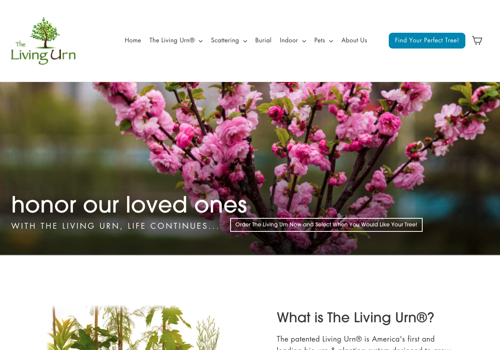 Pay Per Click Package Example: SEO and Content Marketing