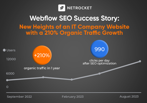 Search Engine Optimization Package Example: SEO for IT Company: Webflow Success Story