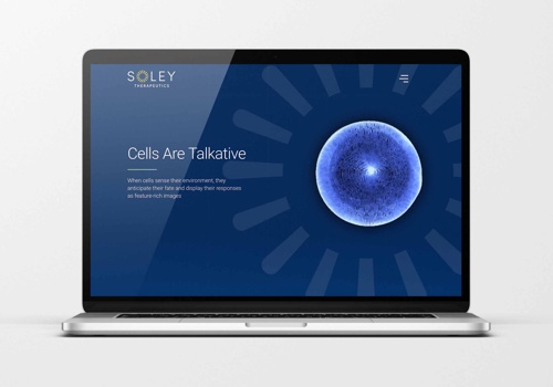 Web Design Package Example: Website design for a drug discovery startup