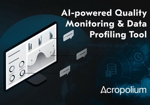 Custom Software Development Package Example: Custom Data Profiling and Quality Monitoring Soft