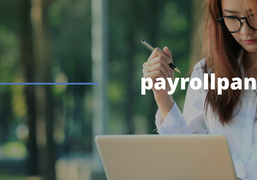 Custom Software Development Package Example: Payroll panda