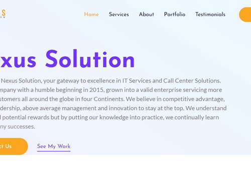 Web Design Package Example: Nexus Solution - Portfolio Website