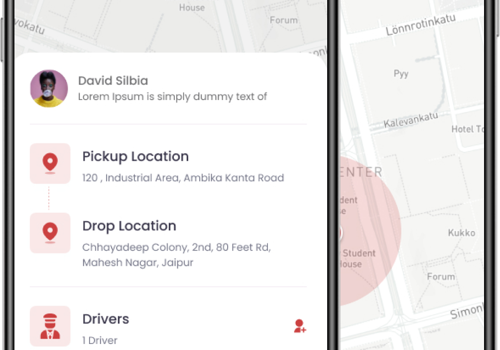 Web Development Package Example: Adambulette