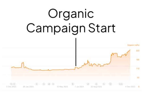 Web Design Package Example: Telluride Tire and Auto Website Design