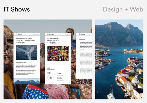 Web Design Package Example: IT SHOWS