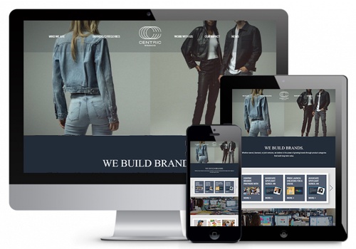 Web Design Package Example: Product Showcase website