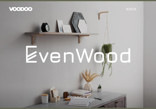 Web Development Package Example: Shopify store development