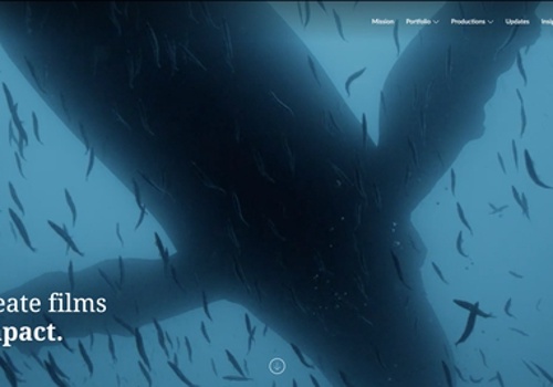 Web Development Package Example: Malaika Pictures