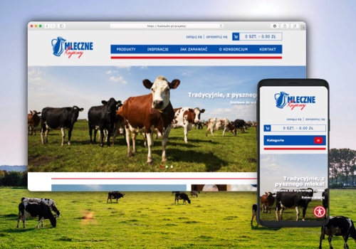 Custom Software Development Package Example: KeSem Manufacturer's online store dairy products