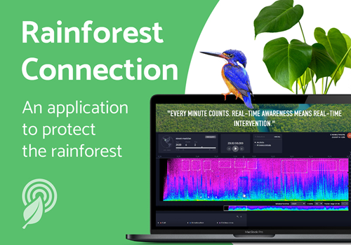 Custom Software Development Package Example: D3.js Development and Data Visualization