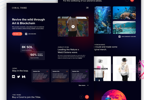 UX/UI Design Package Example: Reviving the wild through Art & Blockchain