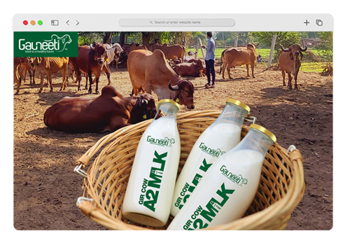 Search Engine Optimization Package Example: Gauneet