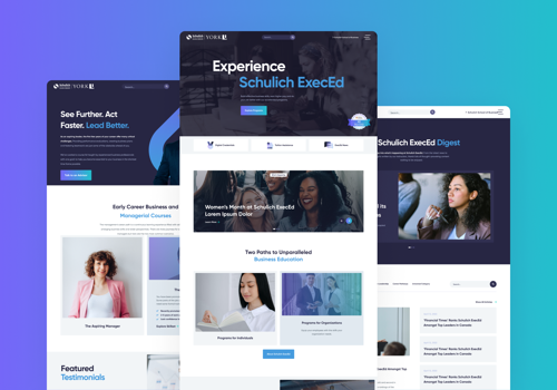 Branding Package Example: Schulich ExecEd