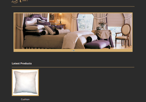 Web Development Package Example: Ridass Collection