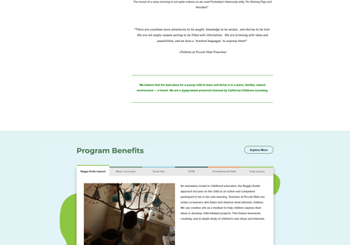 Web Design Package Example: Project with Piccolo Nido Inc