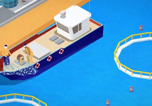 Video Production Package Example: Aquarius Lawyers - Explainer Video