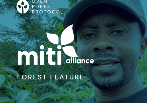 Custom Software Development Package Example: Web & Mobile App Dev for Environmental Services