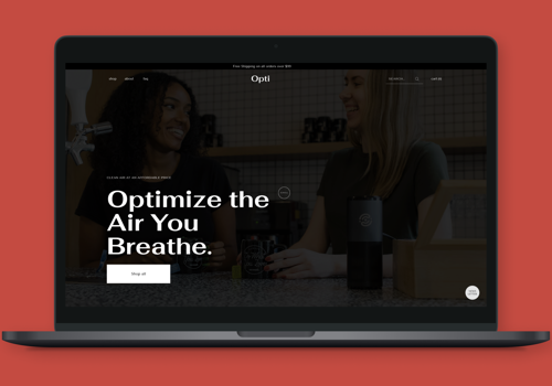 Pay Per Click Package Example: Digital Strategy and Marketing for Ecommerce brand
