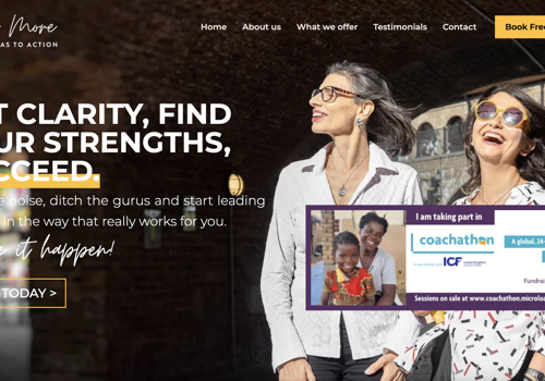 CRM Consulting and SI Package Example: Way More Website Transformation