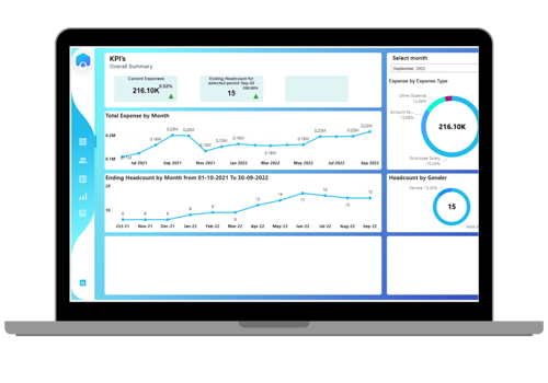CRM Consulting and SI Package Example: CRM Solution with Lead Management, HRMS etc.