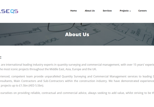 Web Development Package Example: Pulse QS: Smart Surveys for Smarter Teams