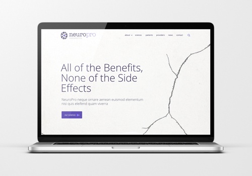 Web Design Package Example: Website for clinical-stage pharmaceutical company