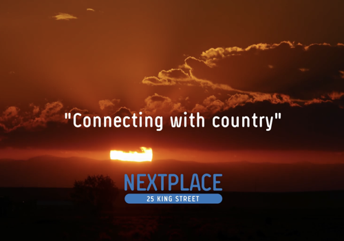 Video Marketing Package Example: NEXTPLACE "Connecting with Country" interview