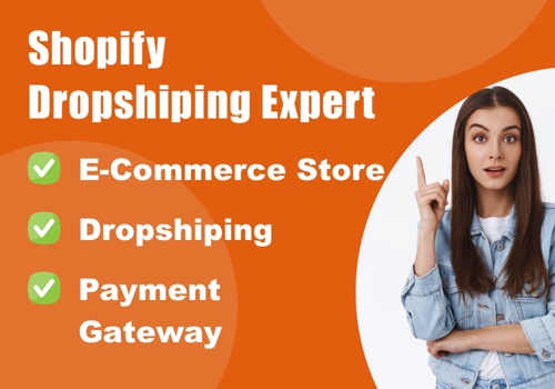 E-Commerce Development Package Example: Dropshipping Shopify Expert