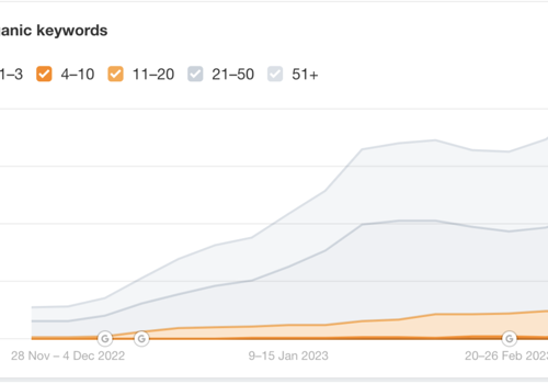 Web Development Package Example: Laser Hair Removal Company Skyrockets in Local SEO