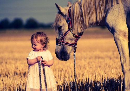 E-Commerce Development Package Example: Magento 2 Services for Agri Service