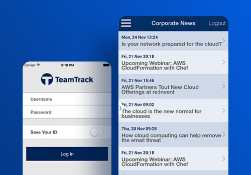 Custom Software Development Package Example: TeamTrack