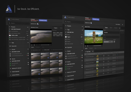 Web Development Package Example: Web Application for media asset management