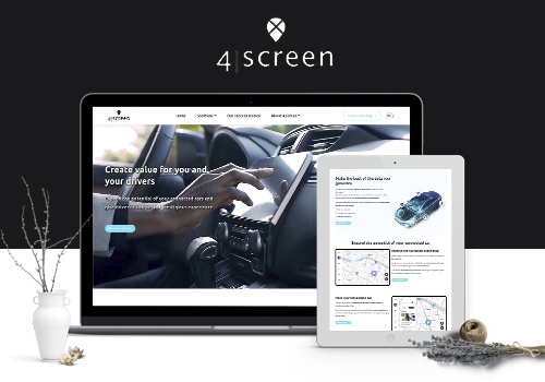 Web Development Package Example: 4 Screen